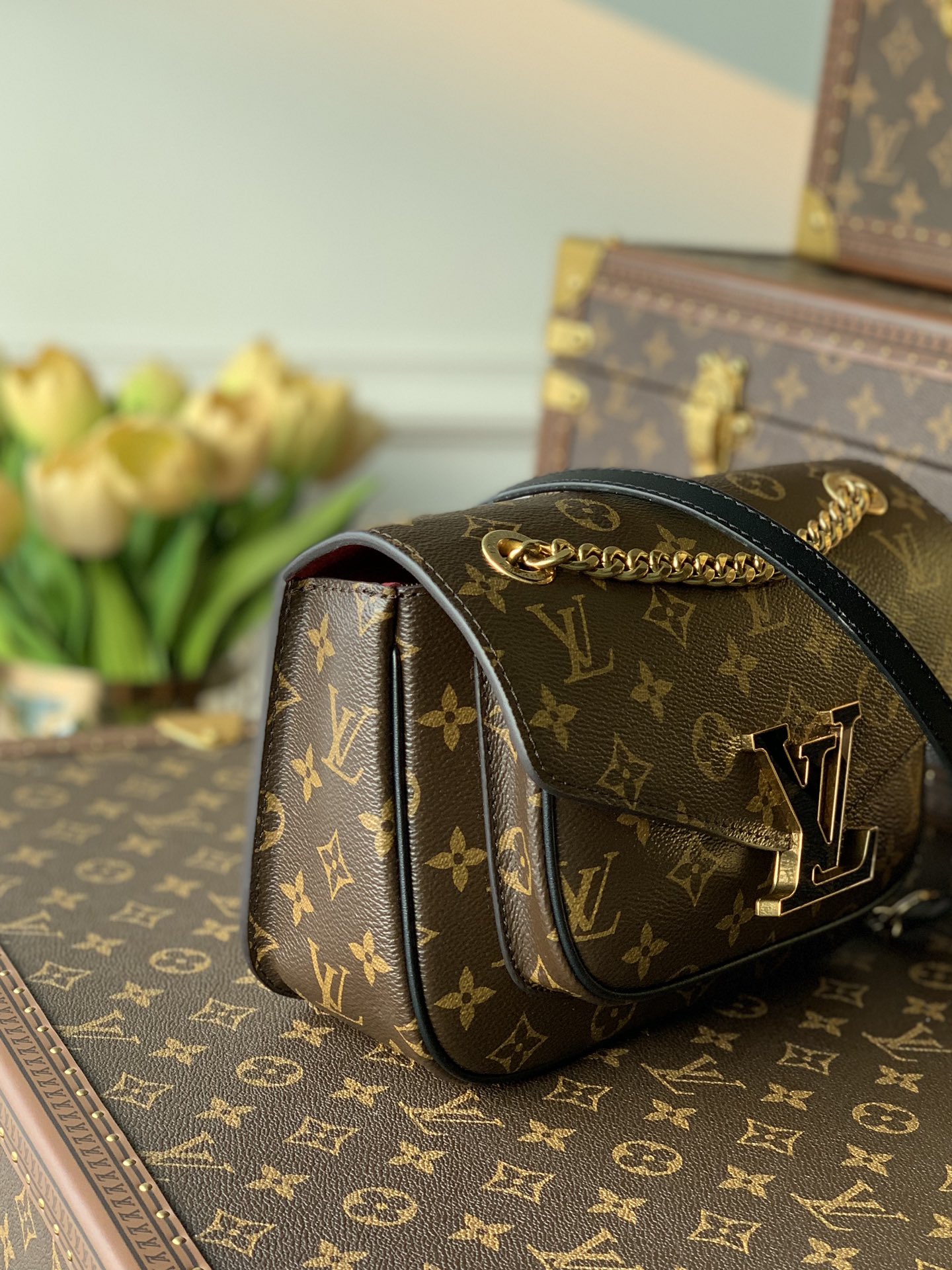 l0vis Vvtt0n passy monogram m45592 22 x 17 x 10cm