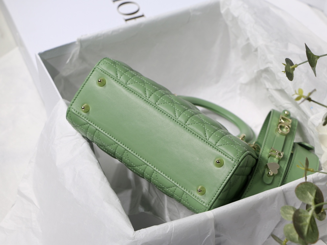 D10r lady D10r my abcD10r bag green m0538 20cm