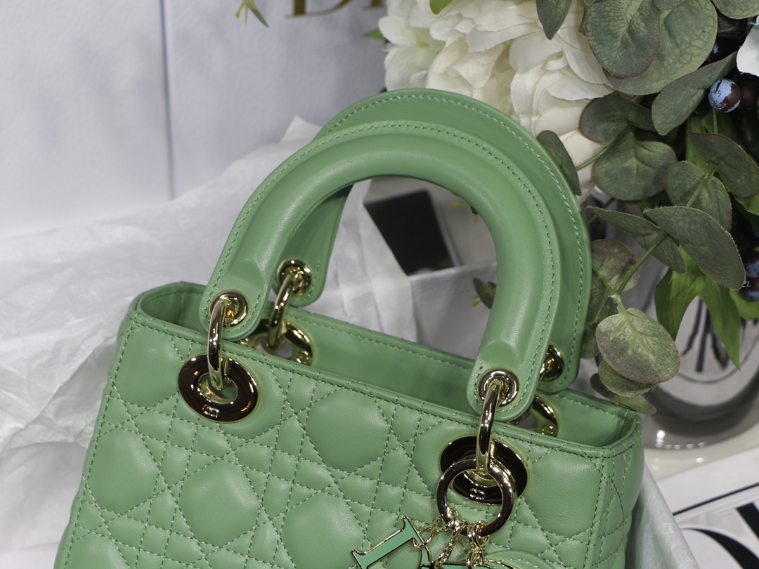 D10r lady D10r my abcD10r bag green m0538 20cm